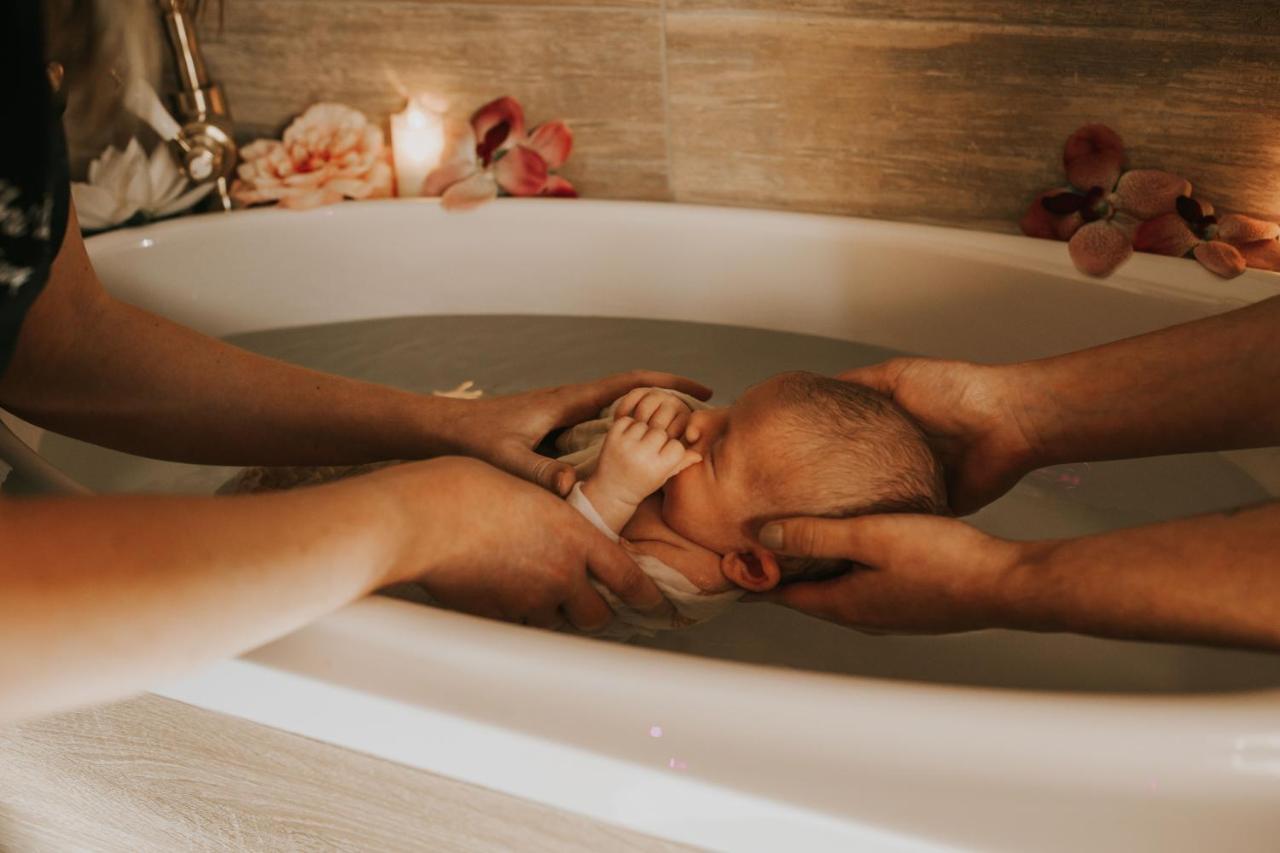 Abri Cosy - Suite Romantique En Camargue サン・ジル エクステリア 写真