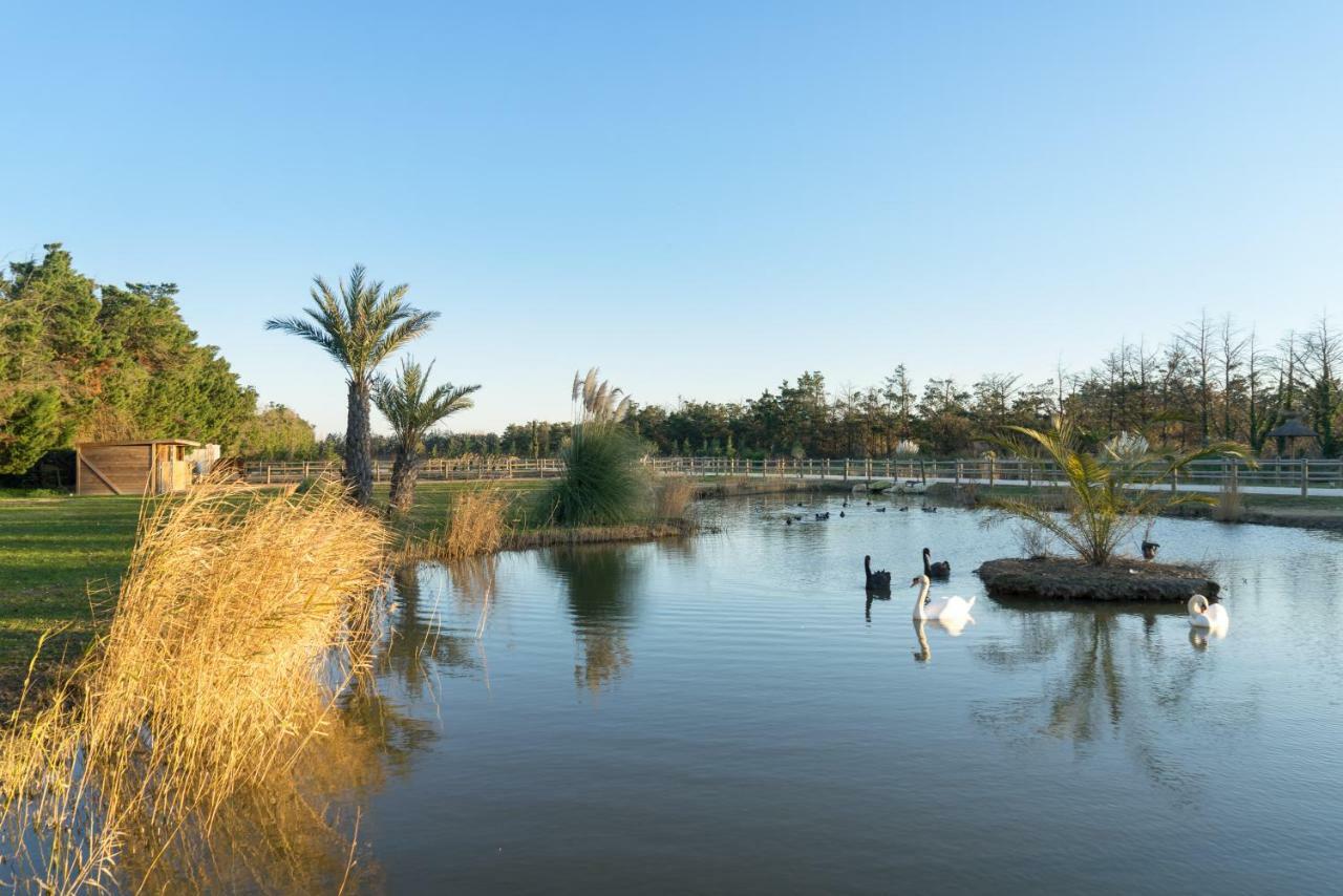 Abri Cosy - Suite Romantique En Camargue サン・ジル エクステリア 写真